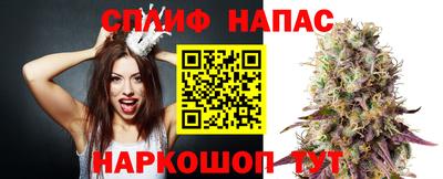 apvp Камышлов