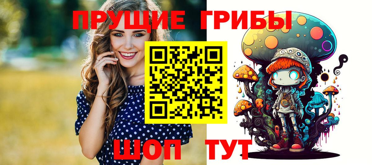 как найти   Галлюциногенные грибы Cubensis  Вход с VPN  Сызрань 
